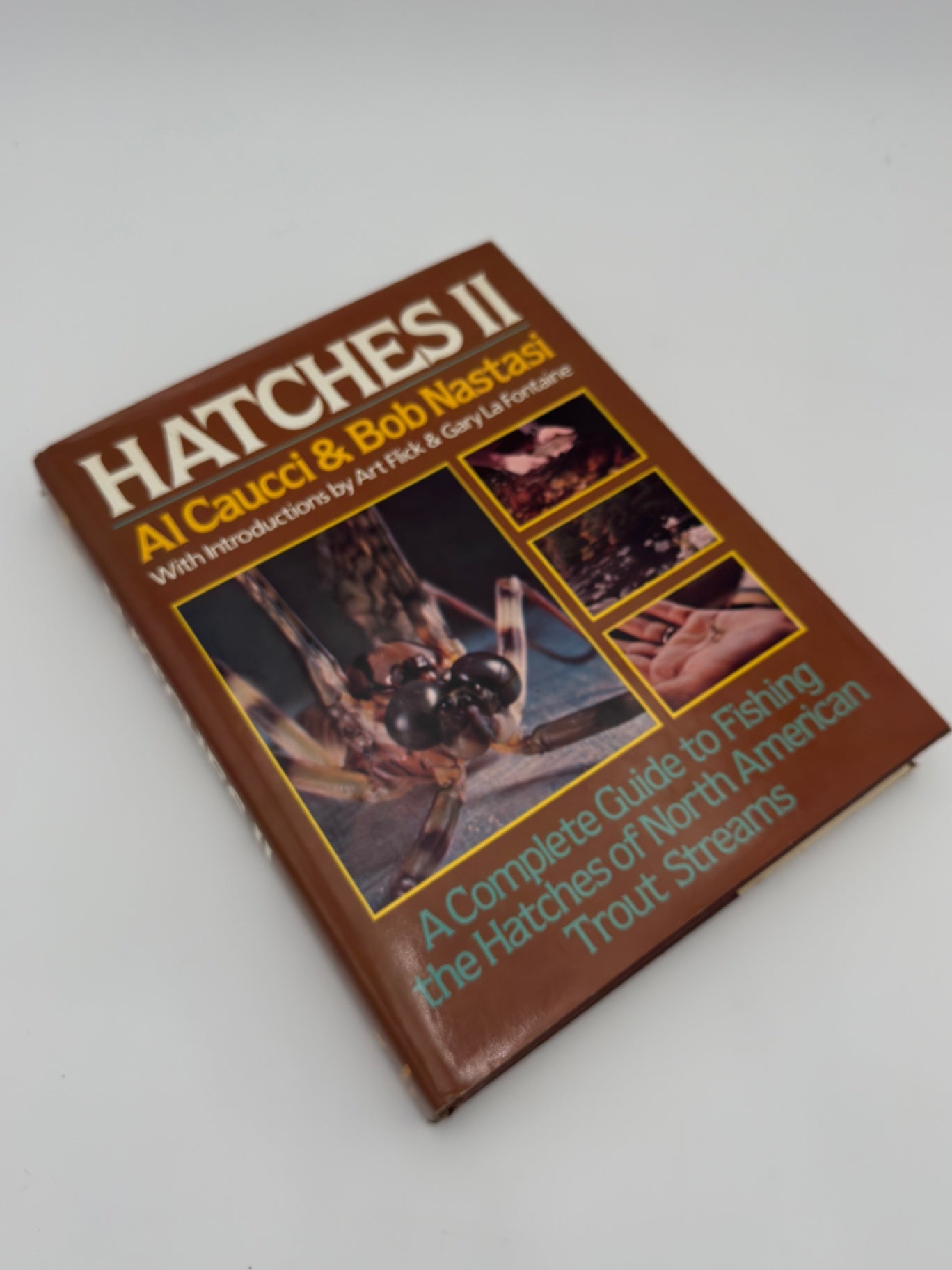 Hatchs 2