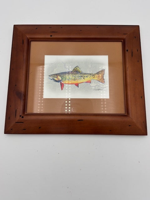 Brook Trout Print 
