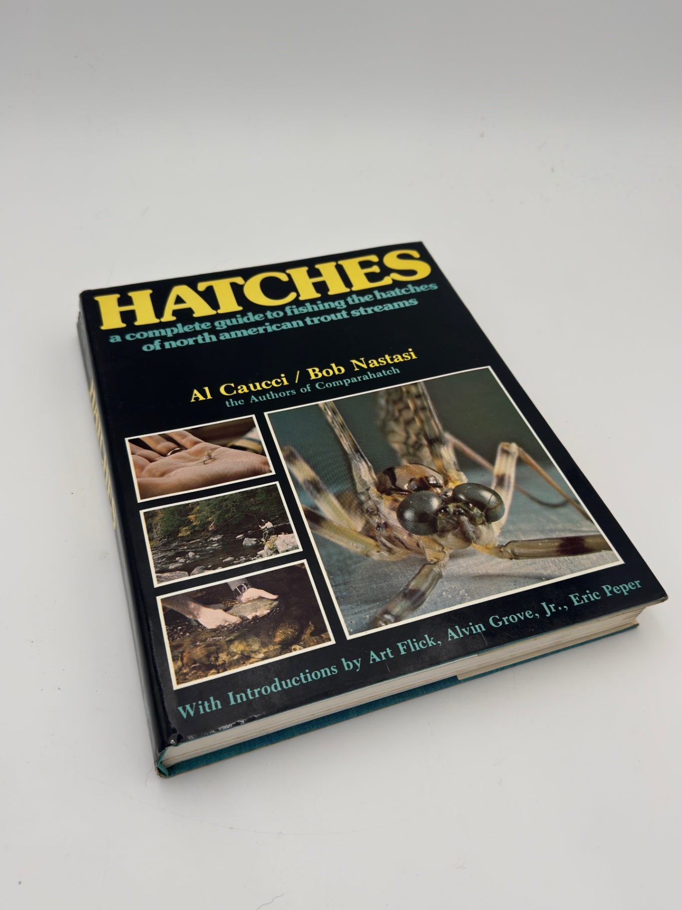 Hatchs By Al Cucci (signed)